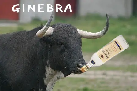 Ginebra