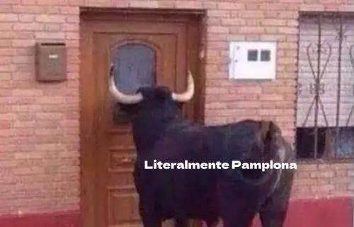 Pamplona